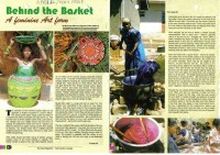 Behind the basket article